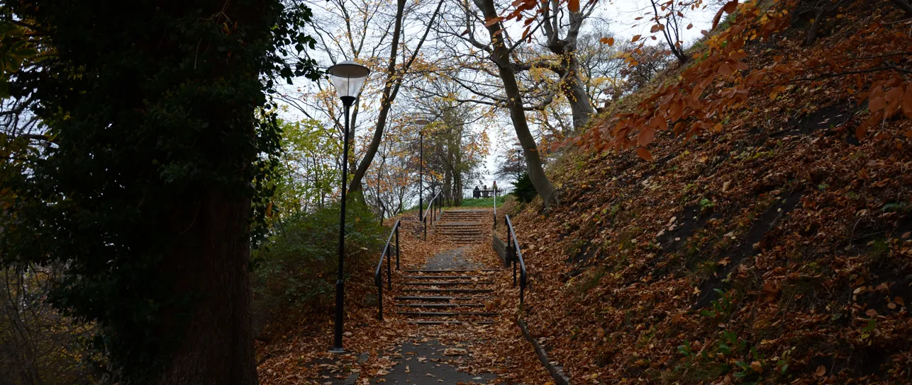Stone stairway climbing through an autumn park