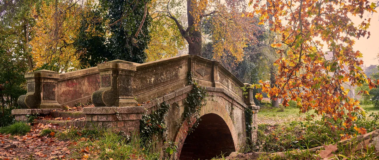 Old stone bridge framed by autumn trees