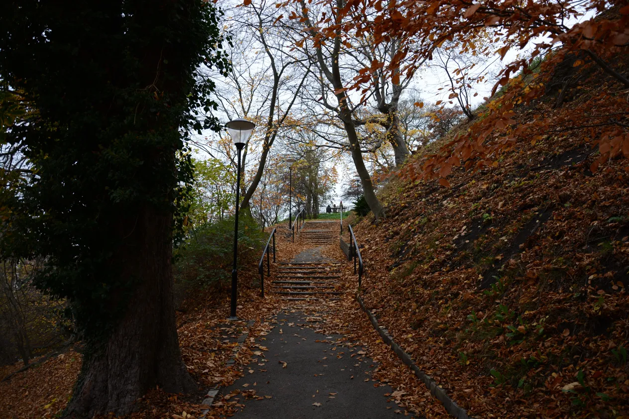 A quiet stone stairway through an autumn park