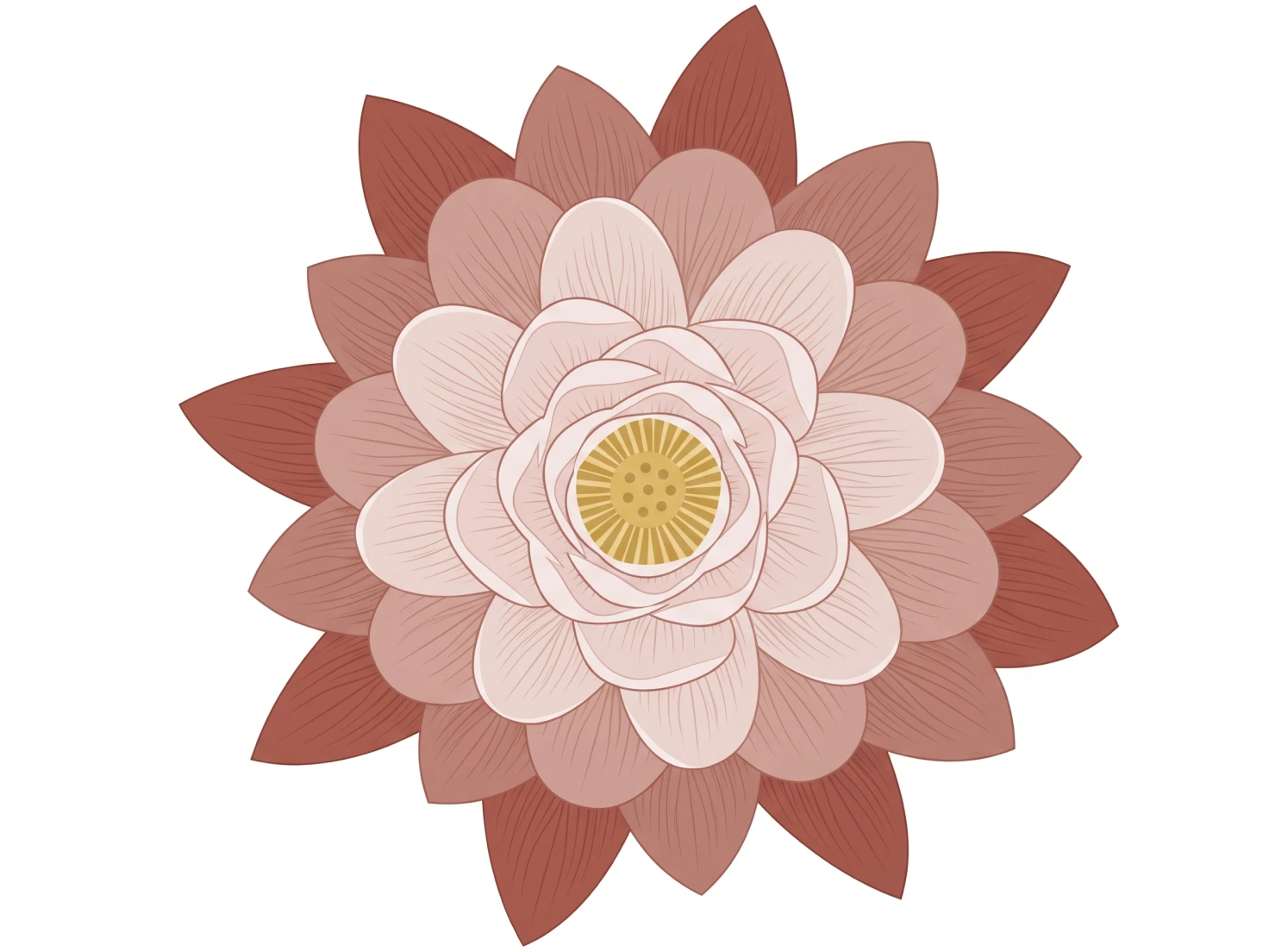 Lotus Mandala Flower Illustration